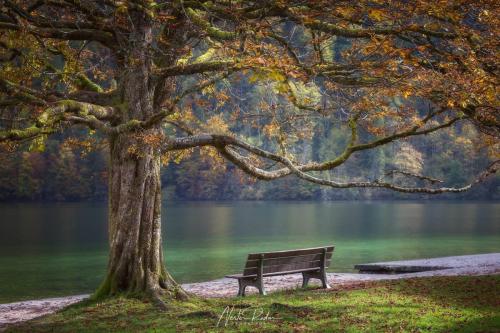 20171013_AUSTRIA_13137_2048_FIRMA