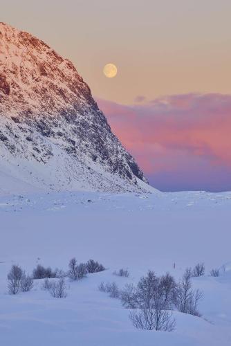 2022-02-15-LofotenJAT_5028