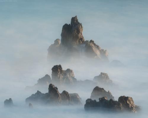 DSC_2204-2-54оо-1030x824