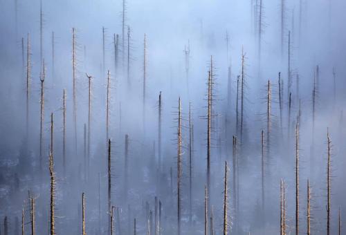 Kilian Schoenberger (3)