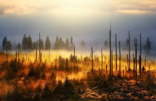 Kilian Schoenberger (7)