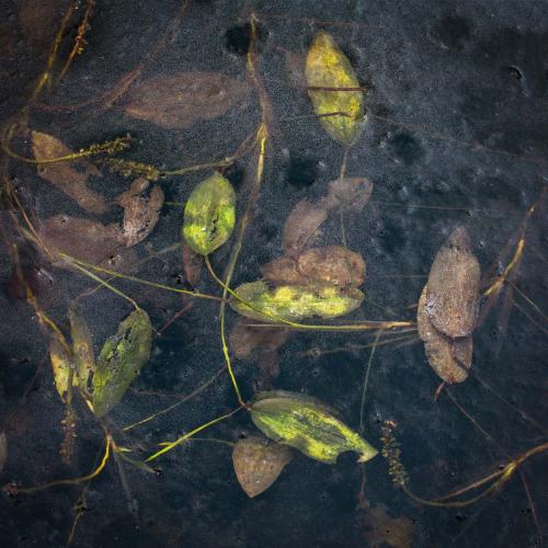 Image by Thomas Heaton, jury in the Canarian Photo Awards 2023